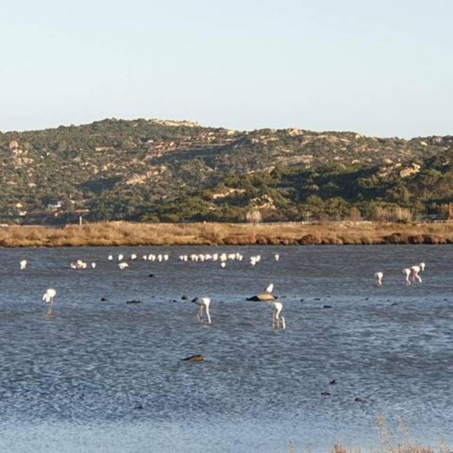 Séjour chez l'habitant Pinelopi Olbia